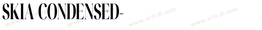 SKIA CONDENSED字体转换